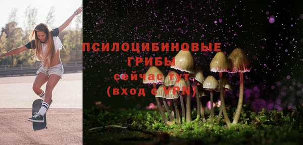 ешки Аркадак