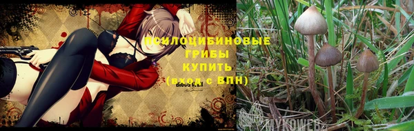 кокаин Армянск
