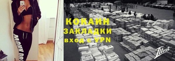 ешки Аркадак