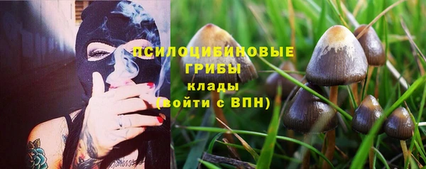 ALPHA PVP Арсеньев